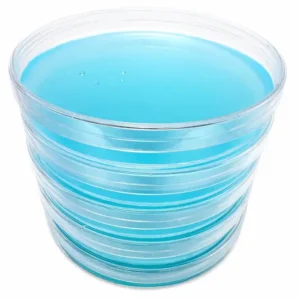 Agar plates Pre-poured for mycology