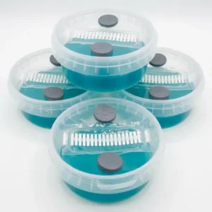Open Air Agar Pots