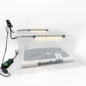 Magical Grow Buddie (2026 Digital Model)